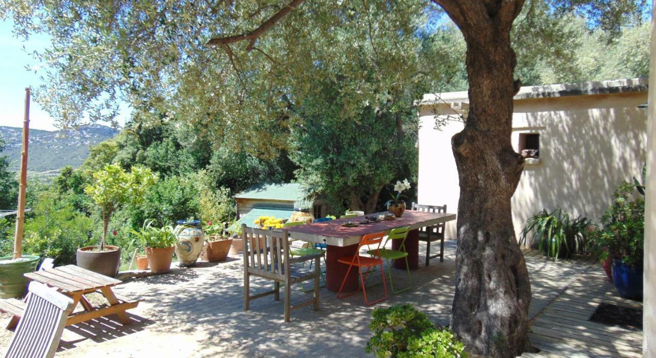 Bed and Breakfast Les Oliviers à Casta Extérieur photo