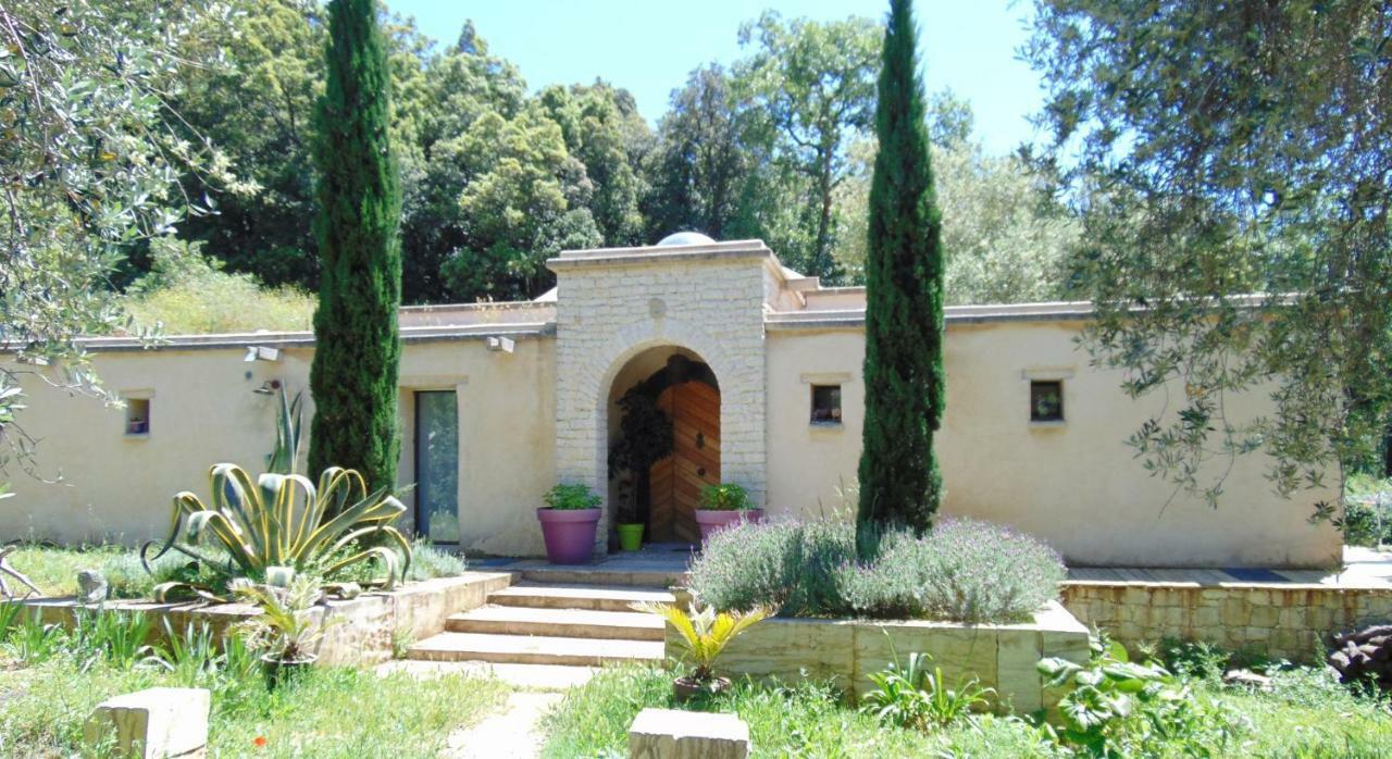 Bed and Breakfast Les Oliviers à Casta Extérieur photo