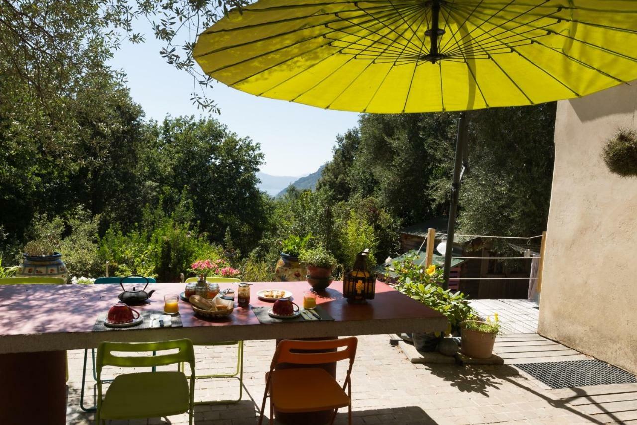 Bed and Breakfast Les Oliviers à Casta Extérieur photo